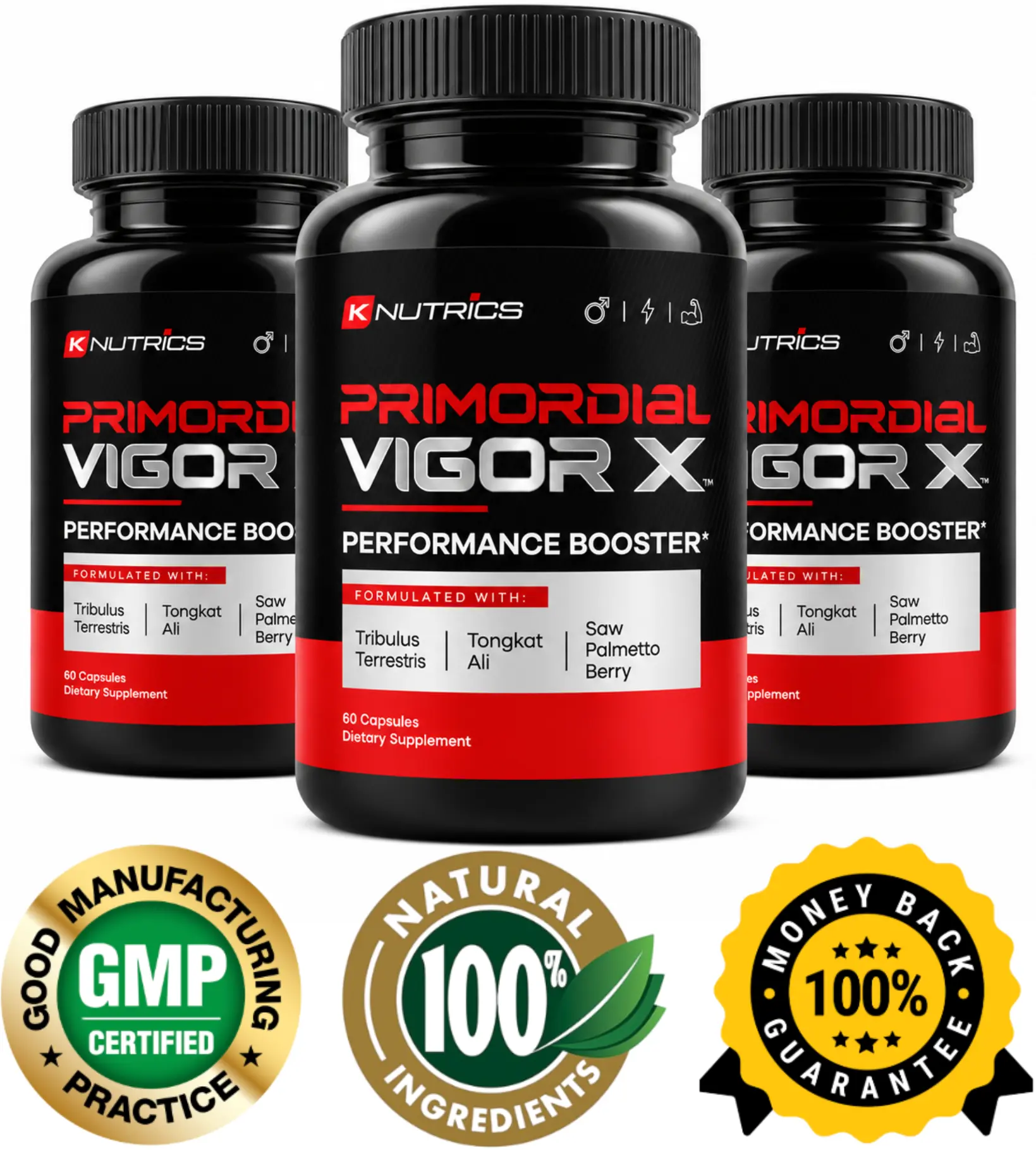 Primordial Vigor X Bottles